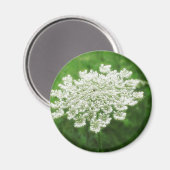 Queen Anne's Lace 1 (Wilde Wortel) Magneet (Voorkant / Achterkant)