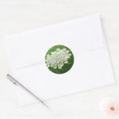 Queen Anne's Lace 1 (Wilde Wortel) Ronde Sticker (Envelop)