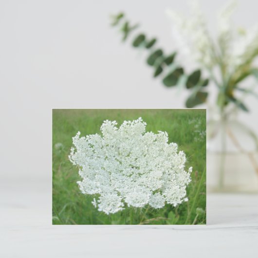 Queen Annes Lace Briefkaart (Staand voorkant)