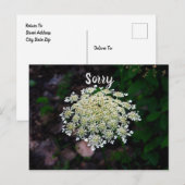 Queen Anne's Lace Briefkaart (Voorkant / Achterkant)