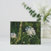 Queen Anne's Lace Briefkaart (Staand voorkant)
