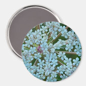 Queen Anne's Lace Flowers Magneet (Voorkant / Achterkant)