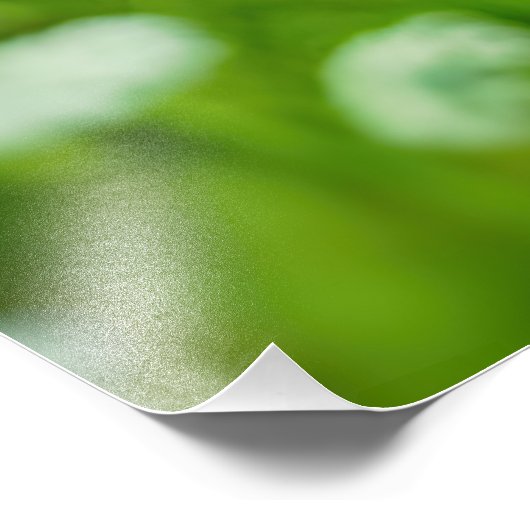 Queen Anne's Lace Foto Afdruk (Hoek)