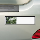 Queen Anne's Lace in een veld Bumpersticker (Op auto)