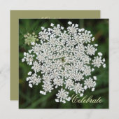Queen Anne's Lace Kaart (Voorkant / Achterkant)