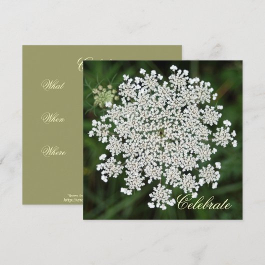 Queen Anne's Lace Kaart (Voorkant / Achterkant)
