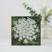Queen Anne's Lace Kaart (Staand voorkant)