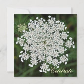 Queen Anne's Lace Kaart (Voorkant)
