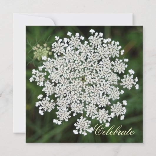 Queen Anne's Lace Kaart (Voorkant)
