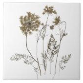 Queen Anne's Lace op een keramische Tegel (wit A) Tegeltje (Voorkant)