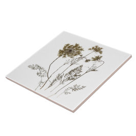 Queen Anne's Lace op een keramische Tegel (wit A) Tegeltje