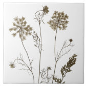 Queen Anne's Lace op een keramische Tegel (wit B) Tegeltje (Voorkant)