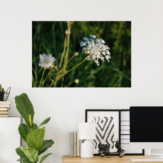 Queen Anne's Lace Poster (Thuiskantoor)