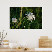 Queen Anne's Lace Poster (Keuken)