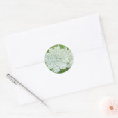 Queen Annes Lace Ronde Sticker (Envelop)