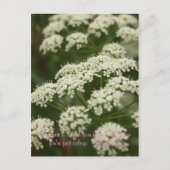 Queen Anne's Lace - Stempel Briefkaart (Voorkant)
