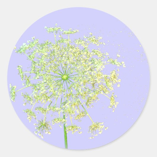 Queen Anne's Lace Stickers (Voorkant)