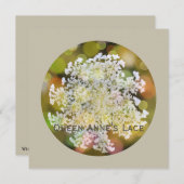 Queen Anne's Lace Wild Flora op koraalrif Feestdagenkaart (Voorkant / Achterkant)