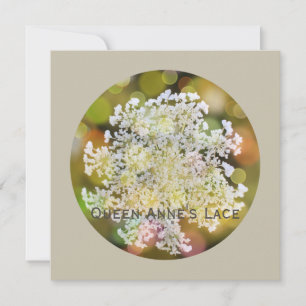 Queen Anne's Lace Wild Flora op koraalrif Feestdagenkaart