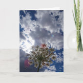 Queen Anne's Lace, Wild Floral Landscape Kaart (Voorkant)