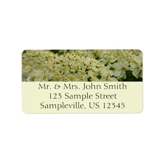 Queen Anne's Lace Wildflower Foto Etiket (Voorkant)