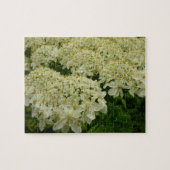 Queen Anne's Lace Wildflower Foto Legpuzzel (Horizontaal)
