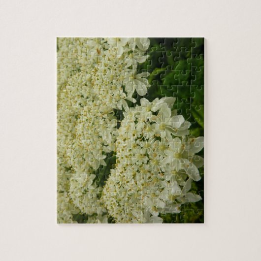 Queen Anne's Lace Wildflower Foto Legpuzzel (Verticaal)