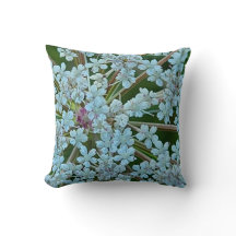 Queen Anne's Lace Witte Bloemen