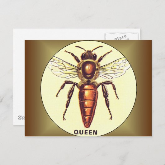Queen Bee Briefkaart (Voorkant / Achterkant)
