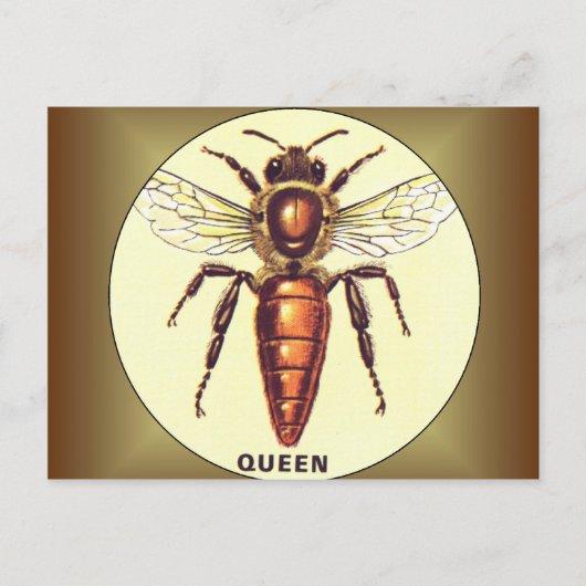 Queen Bee Briefkaart (Voorkant)