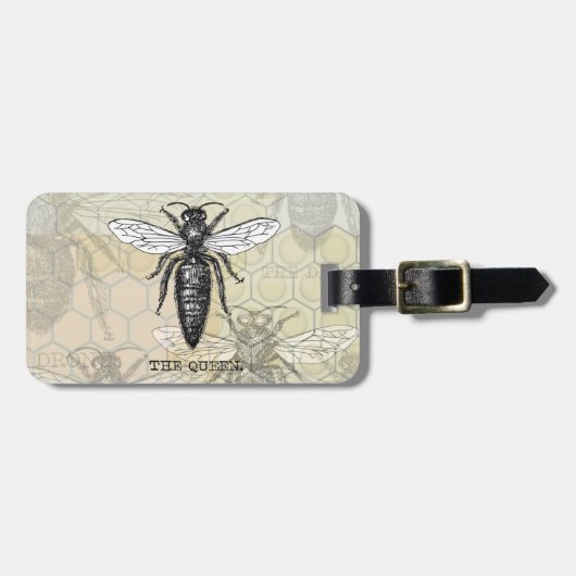 Queen Bee Bug Insect Antiek Illustratie Bagagelabel (Voorkant horizontaal)