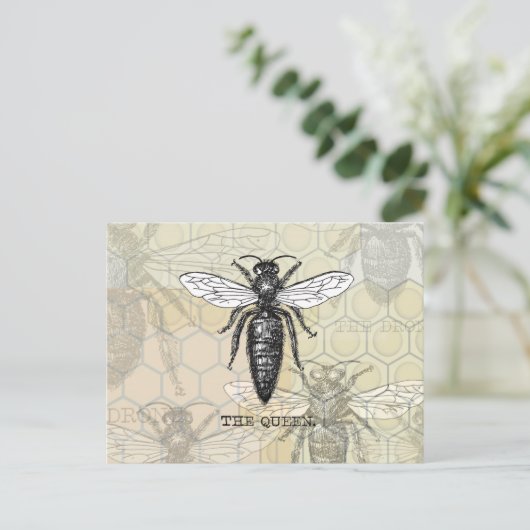 Queen Bee Bug Insect Antiek Illustratie Briefkaart (Staand voorkant)