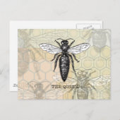 Queen Bee Bug Insect Antiek Illustratie Briefkaart (Voorkant / Achterkant)