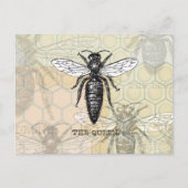 Queen Bee Bug Insect Antiek Illustratie Briefkaart (Voorkant)