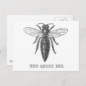 Queen Bee Bug Insect Antiek Illustratie Briefkaart (Voorkant / Achterkant)