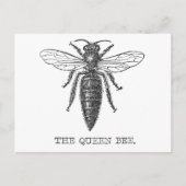 Queen Bee Bug Insect Antiek Illustratie Briefkaart (Voorkant)