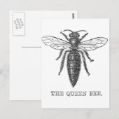 Queen Bee Bug Insect Antiek Illustratie Briefkaart (Voorkant / Achterkant)