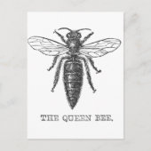Queen Bee Bug Insect Antiek Illustratie Briefkaart (Voorkant)