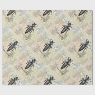 Queen Bee Bug Insect Antiek Illustratie Cadeaupapier