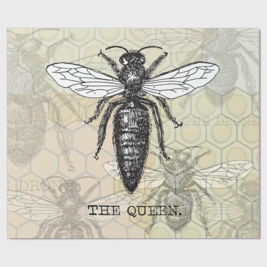Queen Bee Bug Insect Antiek Illustratie Cadeaupapier (Vlak)