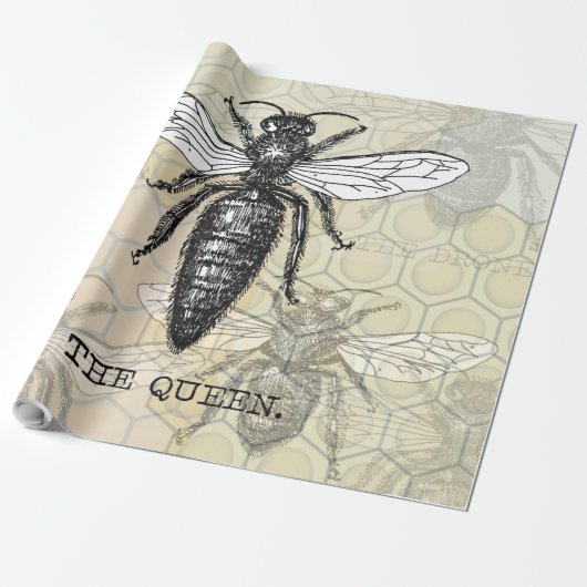 Queen Bee Bug Insect Antiek Illustratie Cadeaupapier (Uitgerold)