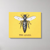 Queen Bee Bug Insect Antiek Illustratie Canvas Afdruk (Voorkant)