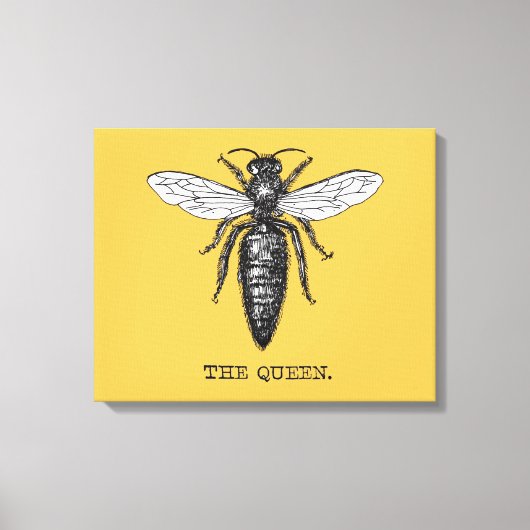 Queen Bee Bug Insect Antiek Illustratie Canvas Afdruk (Voorkant)