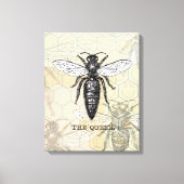 Queen Bee Bug Insect Antiek Illustratie Canvas Afdruk (Voorkant)