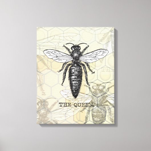 Queen Bee Bug Insect Antiek Illustratie Canvas Afdruk (Voorkant)
