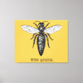 Queen Bee Bug Insect Antiek Illustratie Canvas Afdruk (Voorkant)