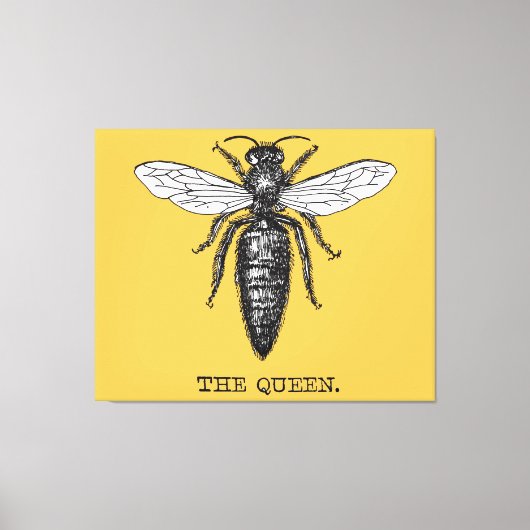 Queen Bee Bug Insect Antiek Illustratie Canvas Afdruk (Voorkant)