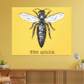 Queen Bee Bug Insect Antiek Illustratie Canvas Afdruk (Insitu (Woonkamer))