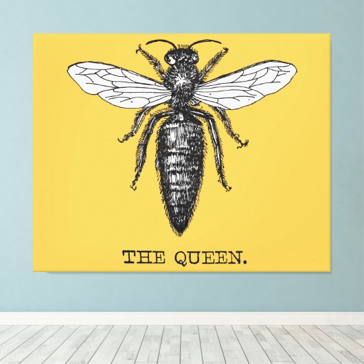 Queen Bee Bug Insect Antiek Illustratie Canvas Afdruk (Insitu (Houten vloer))