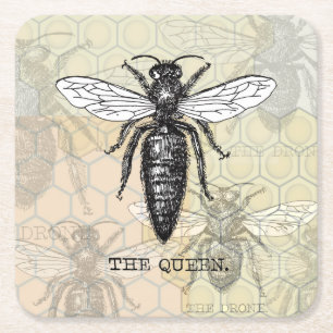 Queen Bee Bug Insect Antiek Illustratie Kartonnen Onderzetters